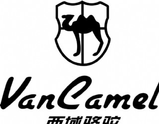 西域骆驼图片